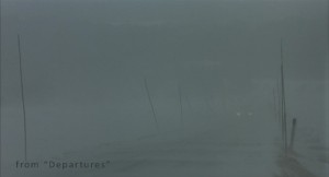 Photo 4: In the Fog